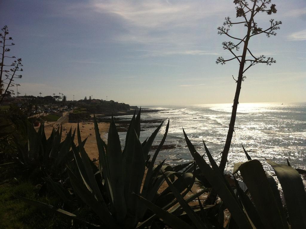 Ferienwohnung Beach Warehouse S.Pedro Estoril Zimmer foto